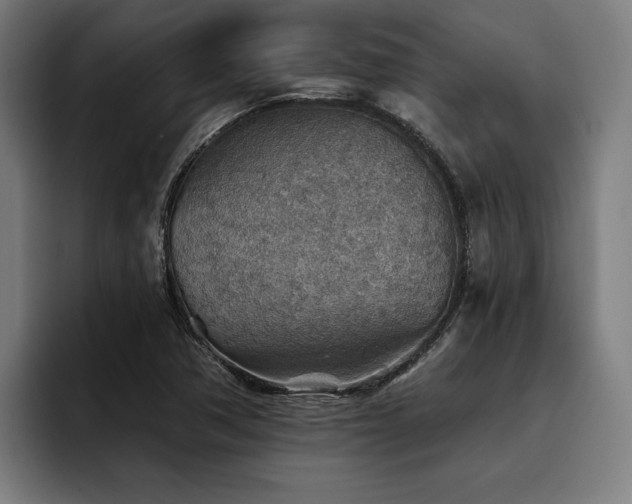 X0000093501362200710121506