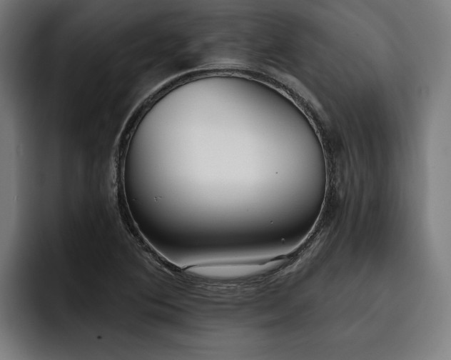 X0000093501364200710121506