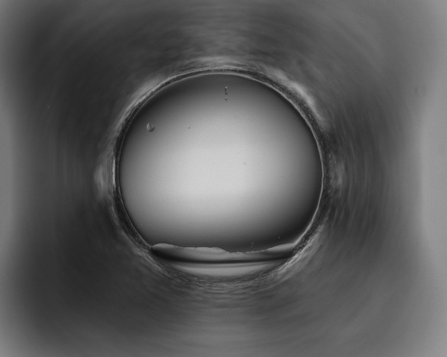 X0000093501365200710121506