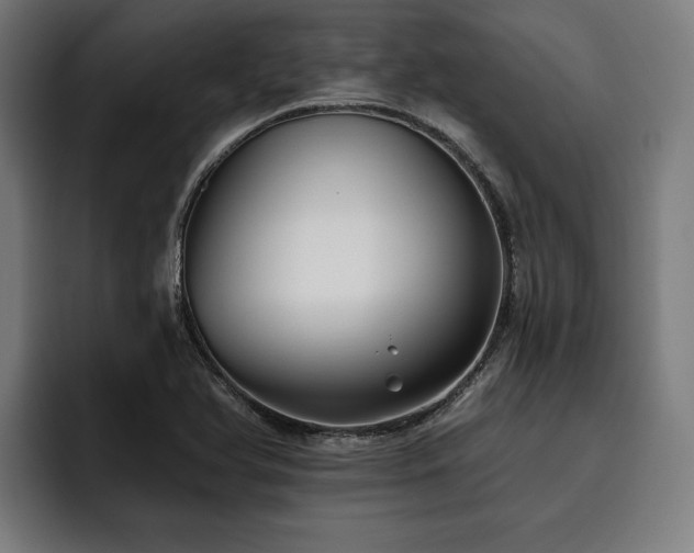 X0000093501366200710121506