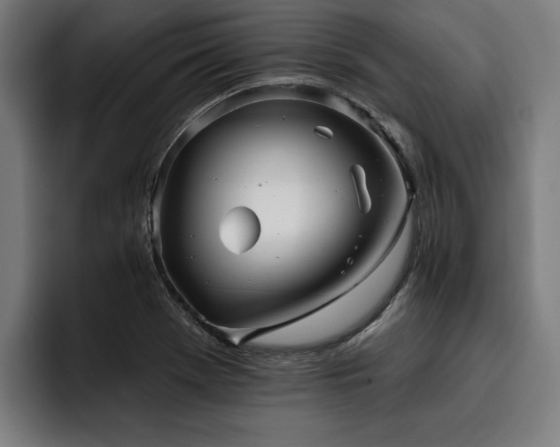 X0000093501369200710121505