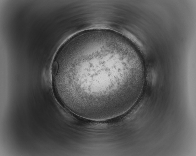 X0000093501372200710121505