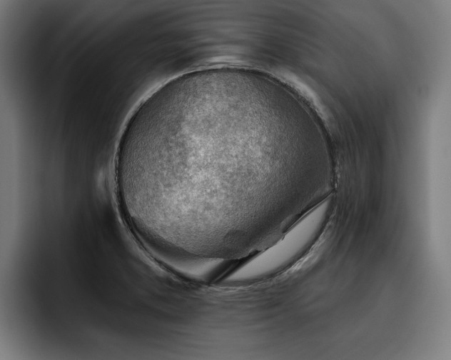 X0000093501373200710121505