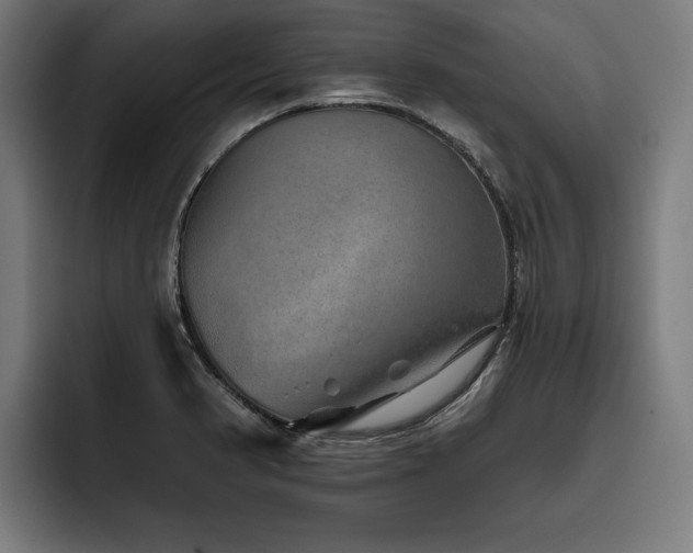 X0000093501374200710121505