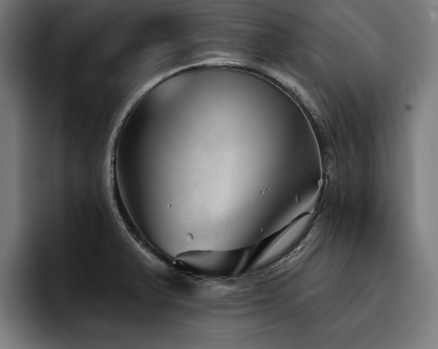 X0000093501375200710121505