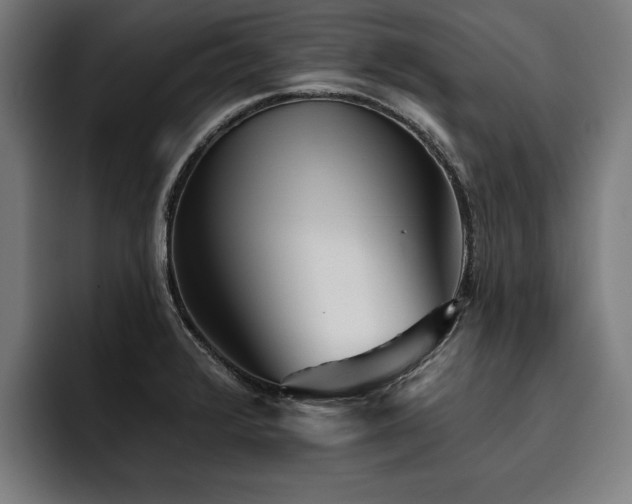 X0000093501376200710121505