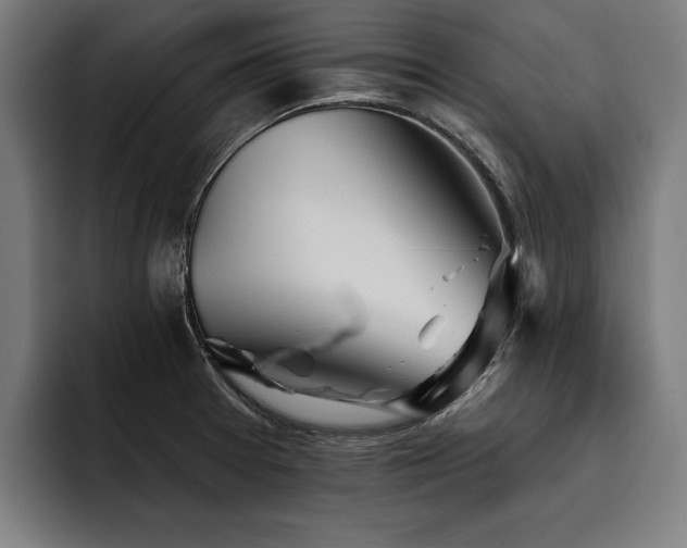 X0000093501377200710121505