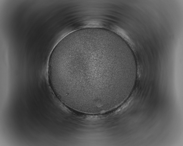 X0000093501378200710121505