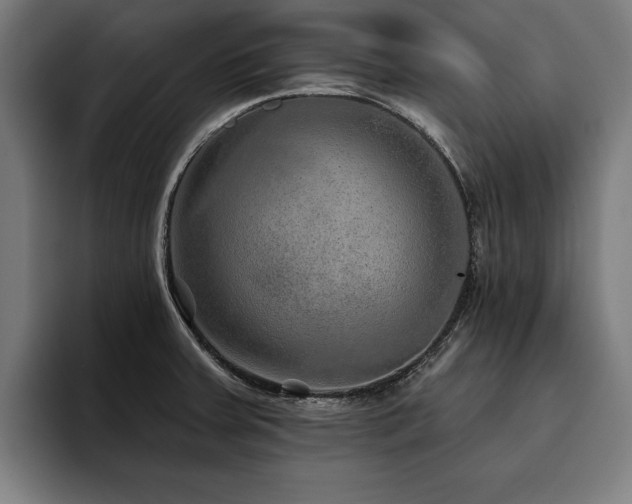 X0000093501379200710121505