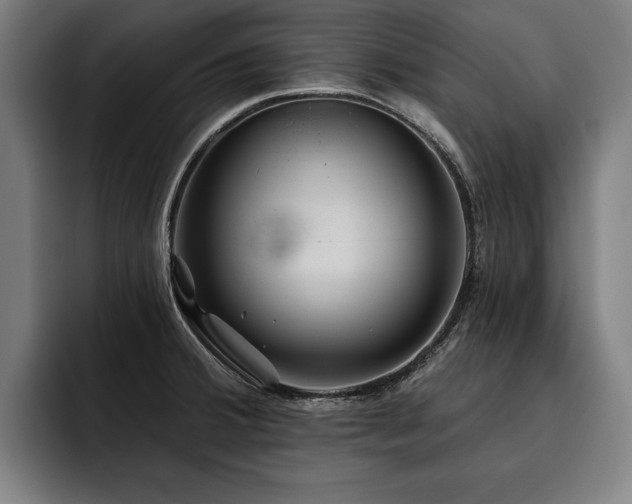X0000093501380200710121505