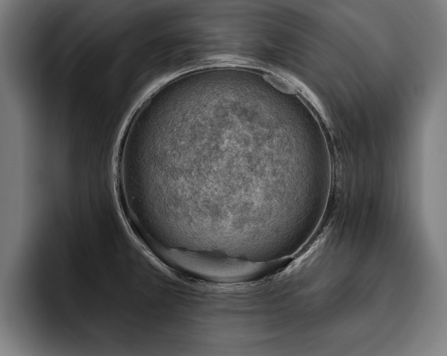 X0000093501381200710121505