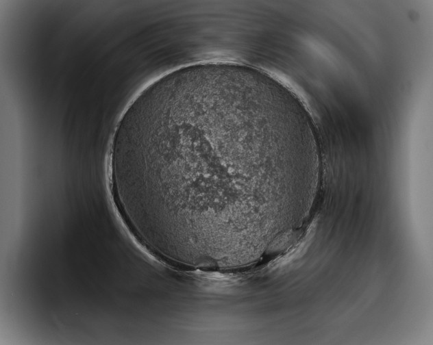 X0000093501383200710121505