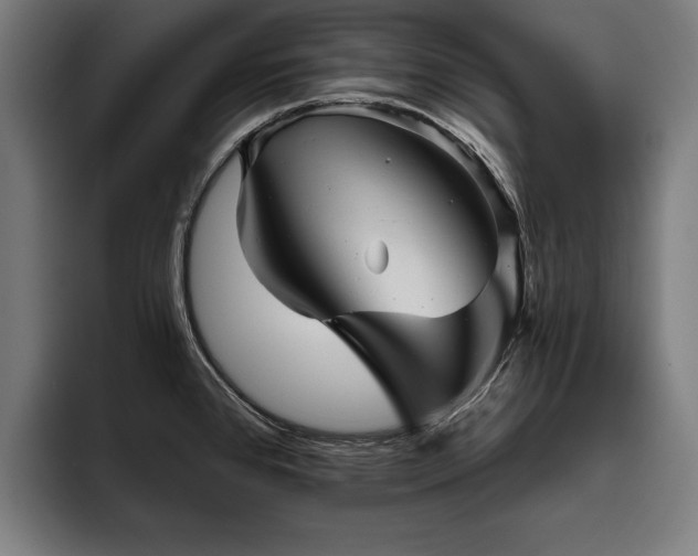 X0000093501384200710121505