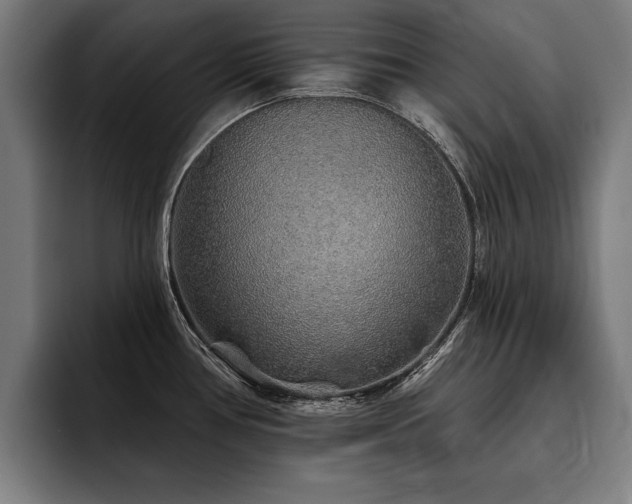 X0000093501386200710121505