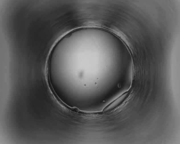 X0000093501387200710121505