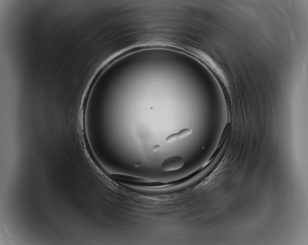 X0000093501388200710121505