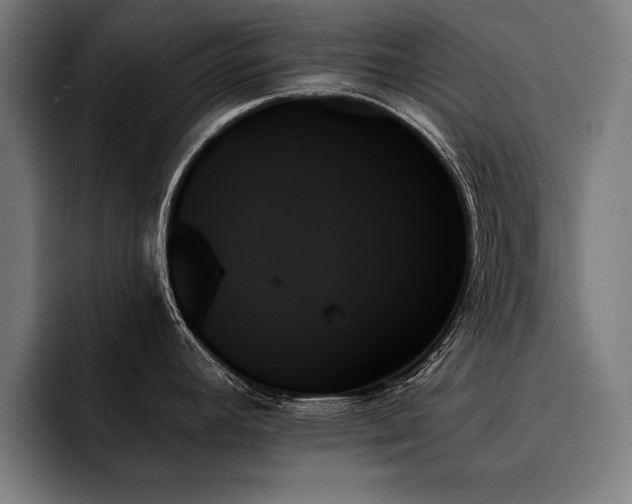 X0000093501392200710121505