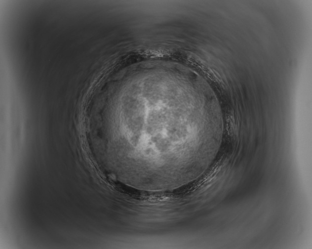 X0000093501393200710121505