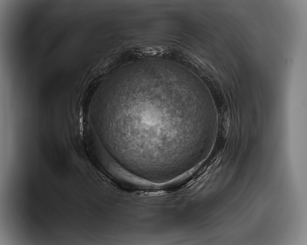 X0000093501394200710121505