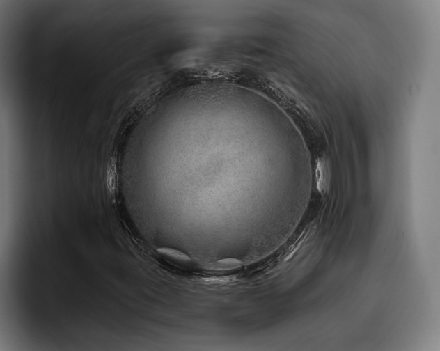 X0000093501395200710121505