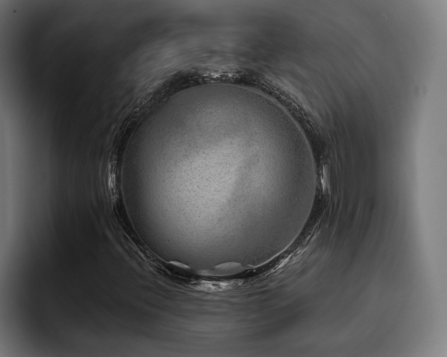 X0000093501396200710121505