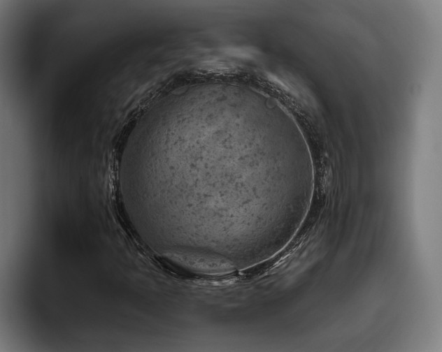 X0000093501397200710121505