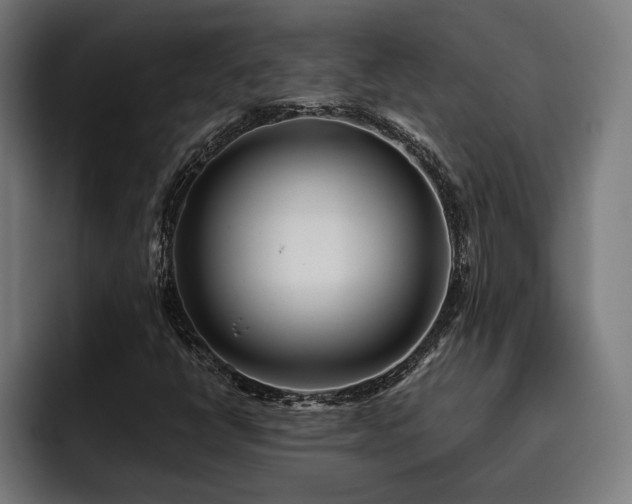 X0000093501398200710121505