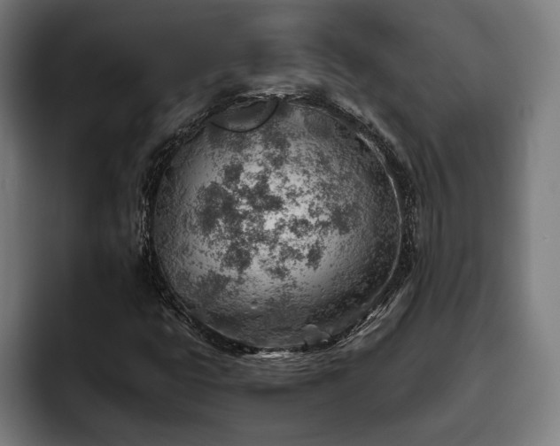 X0000093501399200710121505