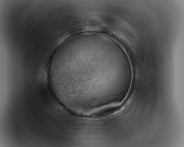 X0000093501401200710121505