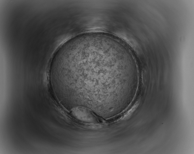 X0000093501405200710121505