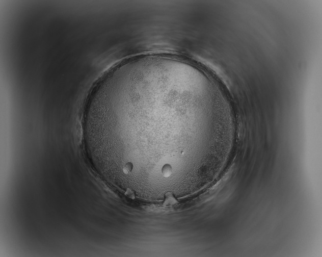 X0000093501407200710121505