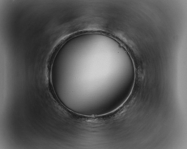 X0000093501408200710121505