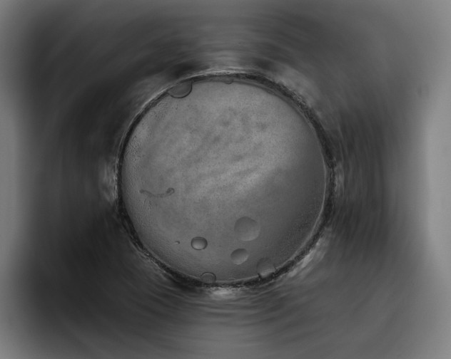 X0000093501409200710121505