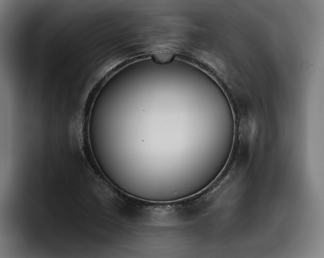 X0000093501410200710121505