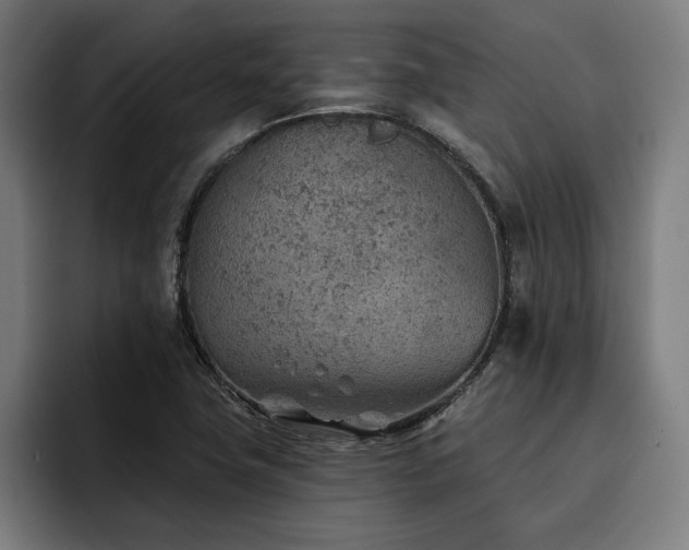 X0000093501411200710121505