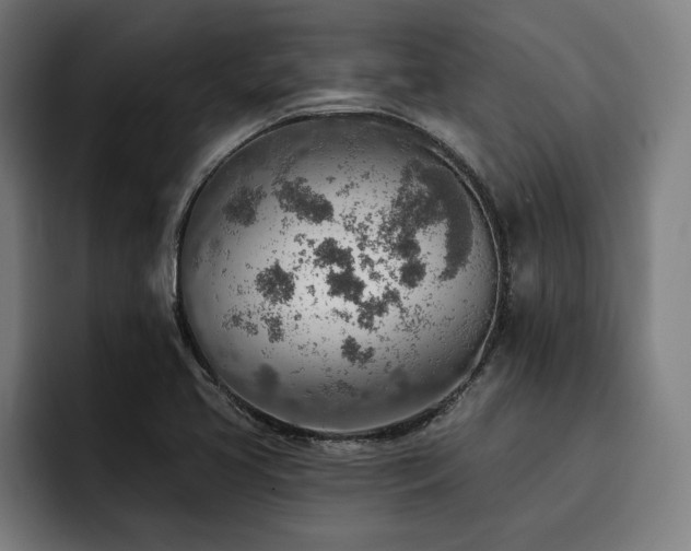 X0000093501413200710121505