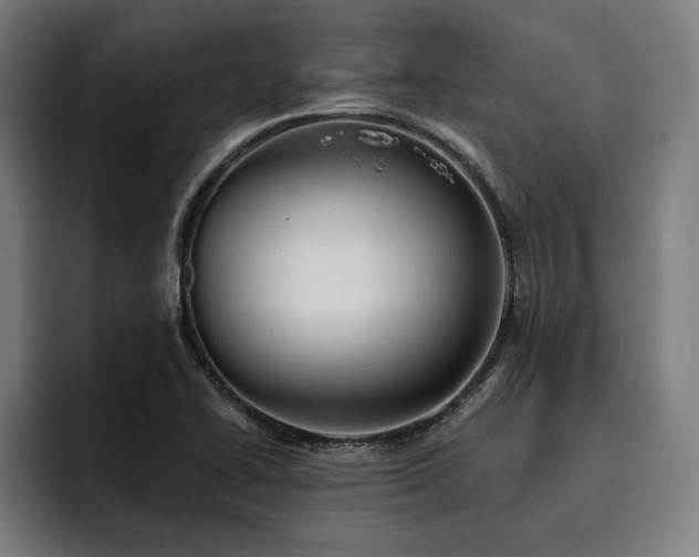 X0000093501414200710121505