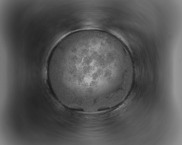 X0000093501415200710121505