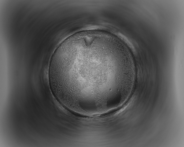 X0000093501417200710121505