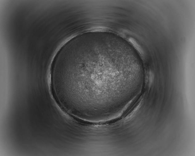 X0000093501418200710121505