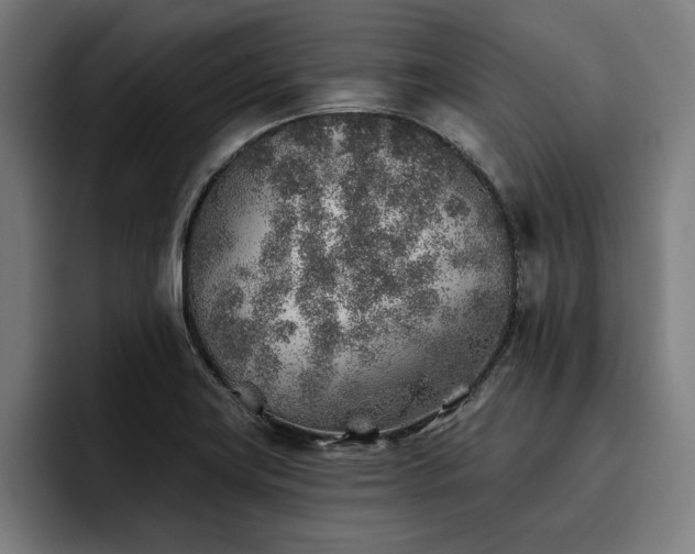 X0000093501419200710121505