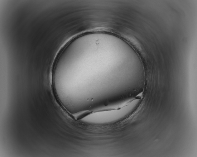 X0000093501420200710121505