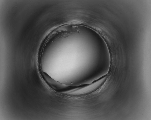 X0000093501422200710121505