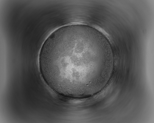 X0000093501423200710121505
