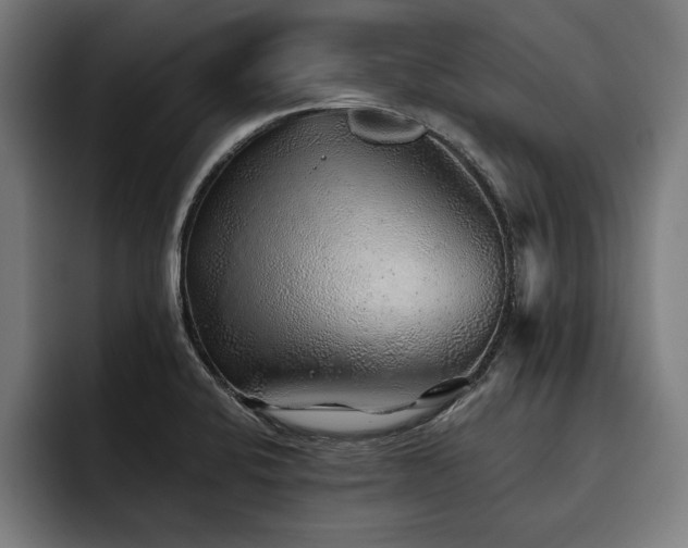 X0000093501424200710121505
