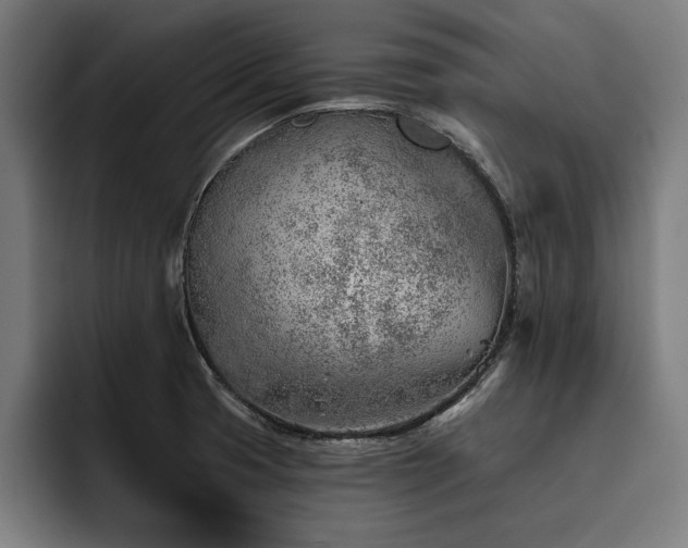X0000093501425200710121505