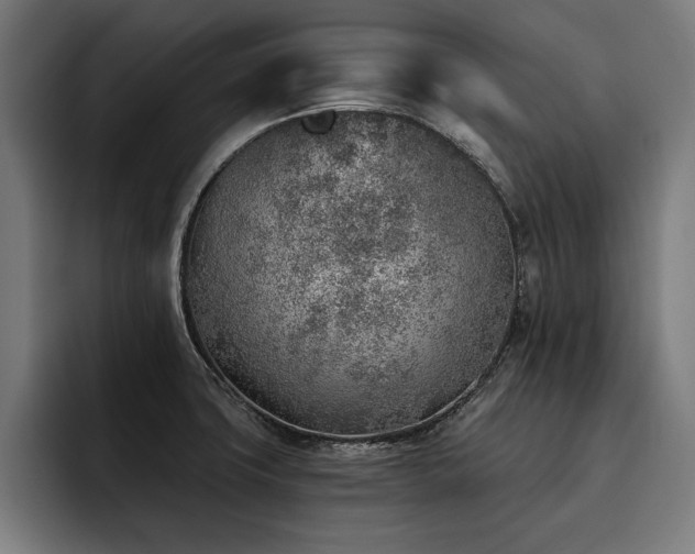 X0000093501427200710121505