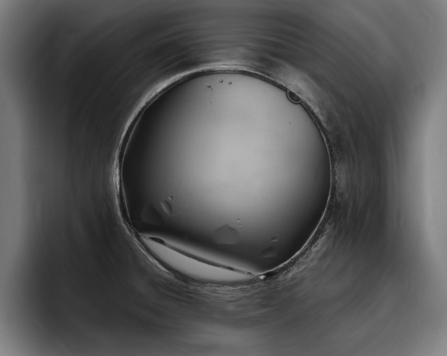 X0000093501428200710121505