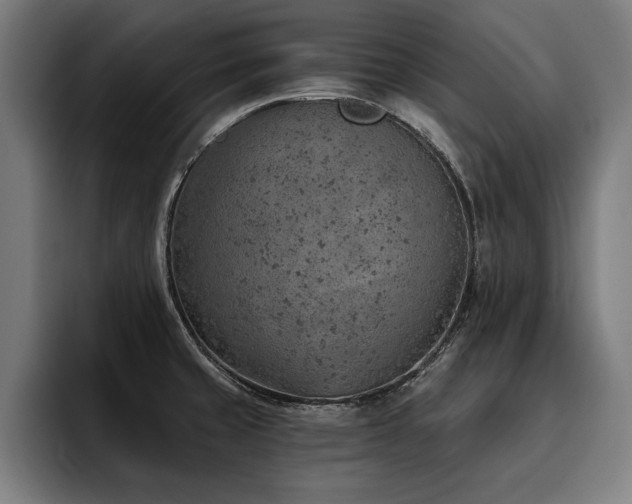 X0000093501429200710121505