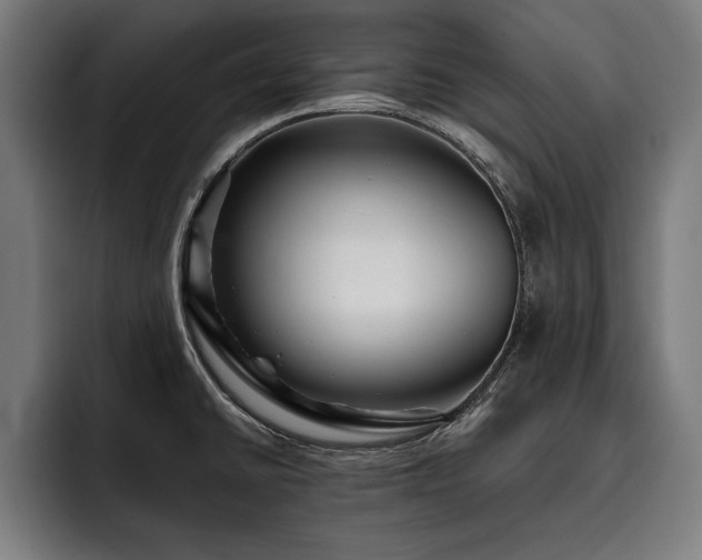 X0000093501430200710121505